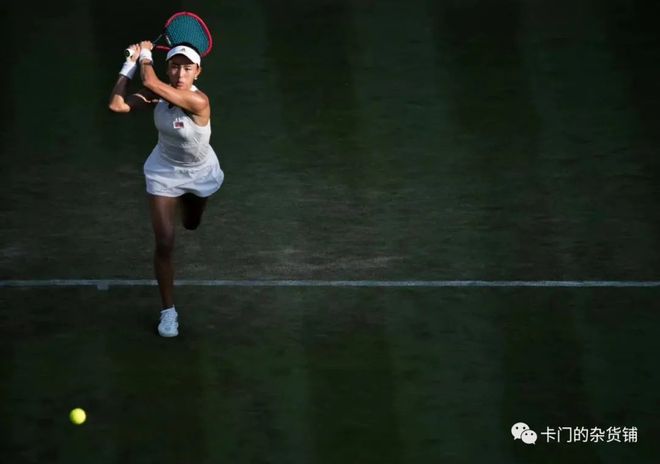 放大青柳的 放大青柳的